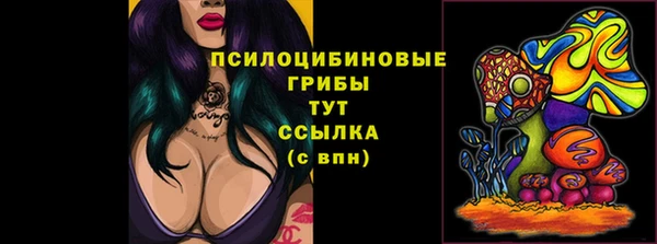 герыч Алзамай