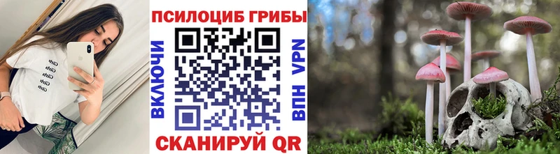 мориарти состав  Пикалёво  Псилоцибиновые грибы Magic Shrooms 
